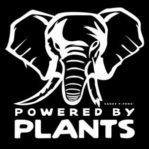Sandy P. Peng Motiv Powered by plants